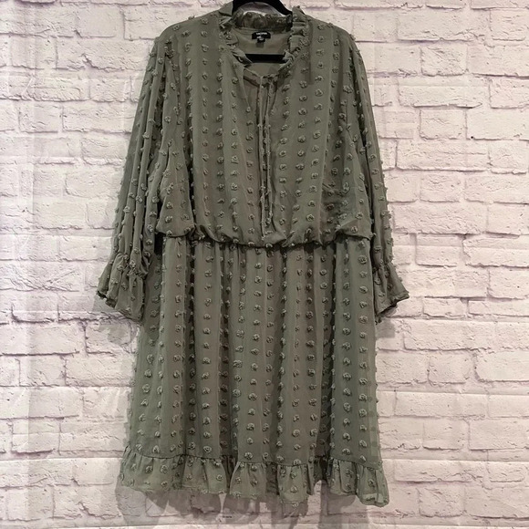 Tacera Swiss Dot Dress Long Sleeve Lined Sage Green Plus Size 3X Tie Neck - Picture 1 of 9